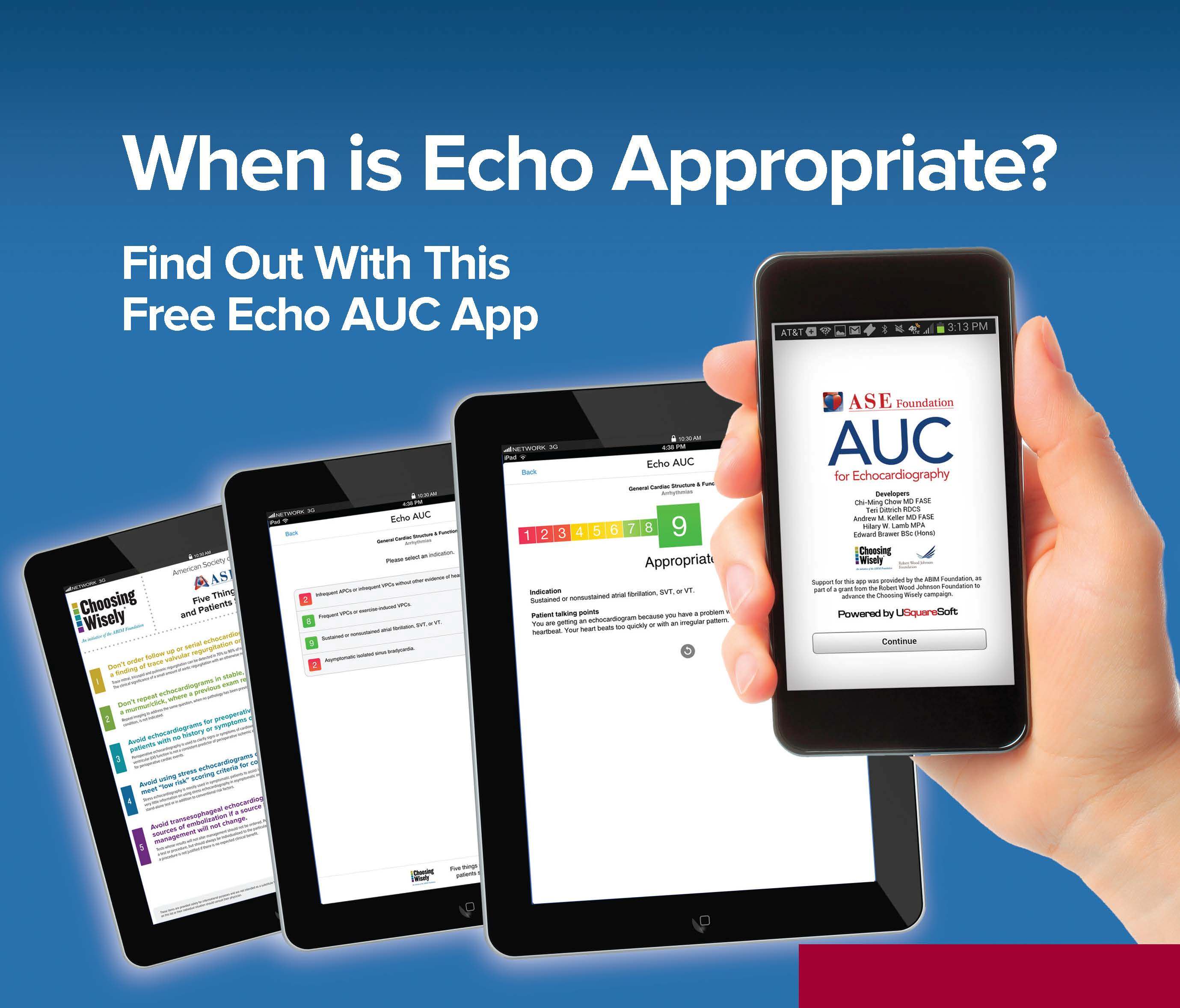 Echo AUC app